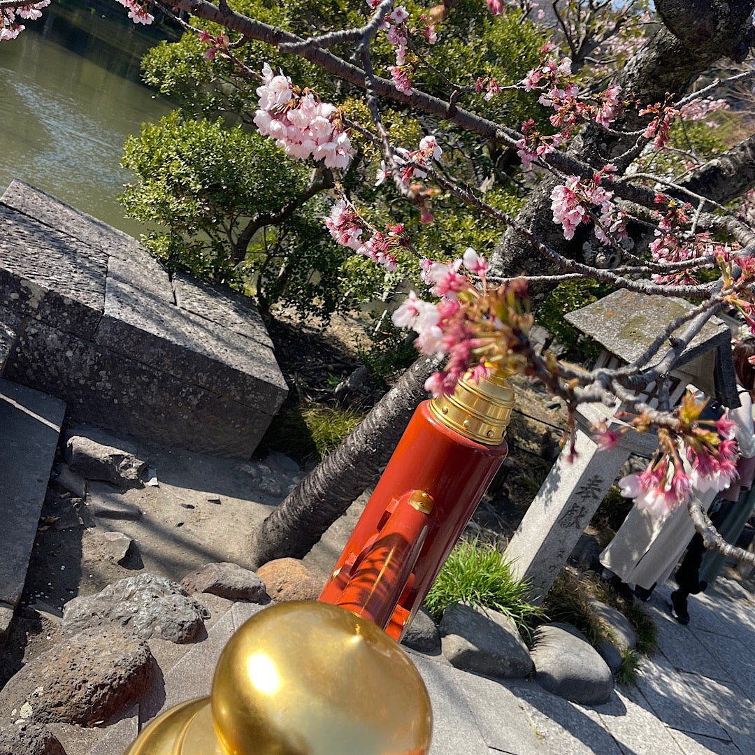 3月22日(土)一粒万倍日✨